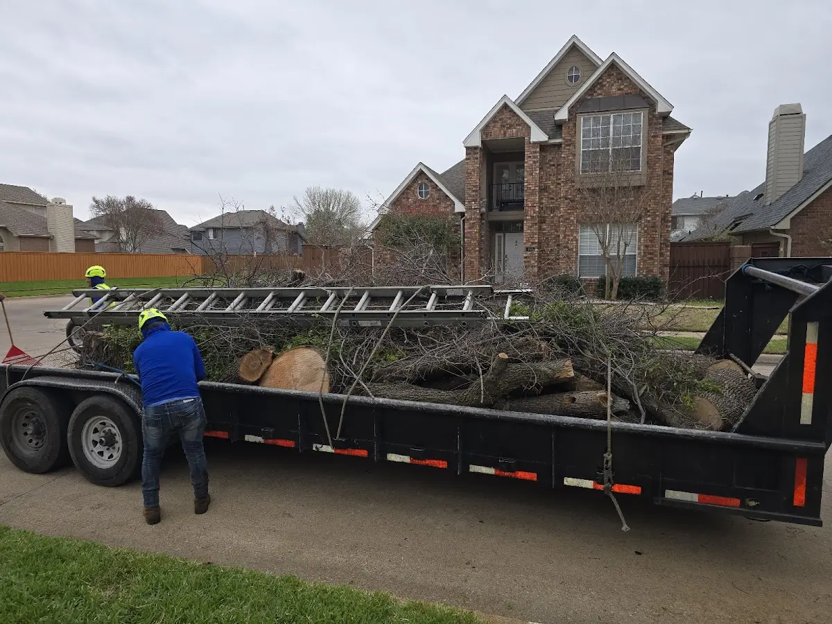 Expert Tree Pest Control with proper safety equipment in Hanna